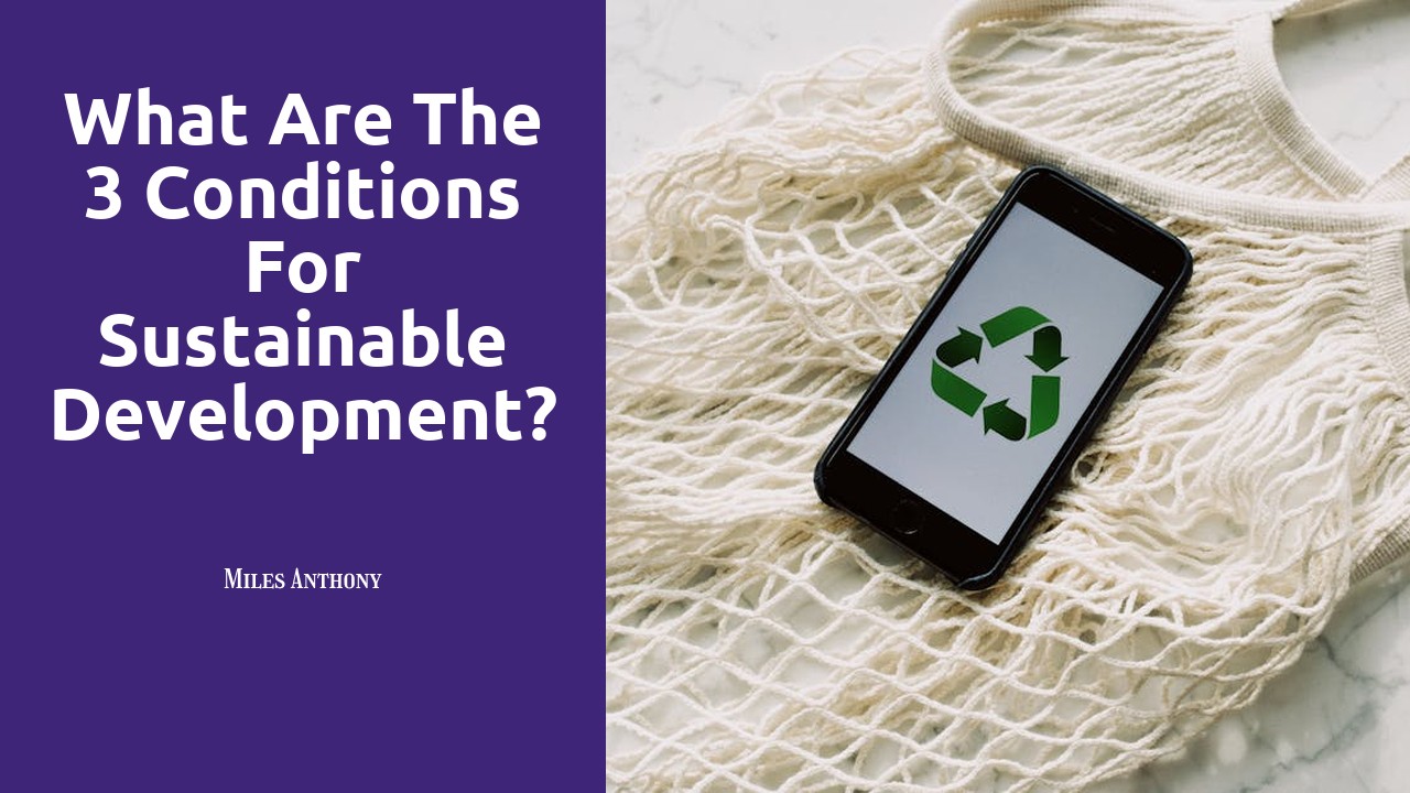 What are the 3 conditions for sustainable development?